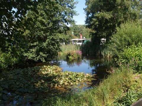 Ein ruhiger Teich, umgeben von üppigem Grün und Bäumen. Im Hintergrund sieht man ein Gebäude und blühende Pflanzen.