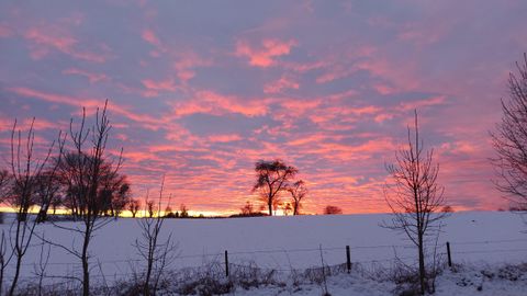 Ein winterlicher Sonnenuntergang mit leuchtenden roten und lila Farben. Silhouetten von Bäumen heben sich vor dem bunten Himmel ab.