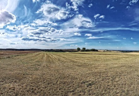 Ausblick vom "Nievesknipp", © Rureifel-Tourismus e.V.