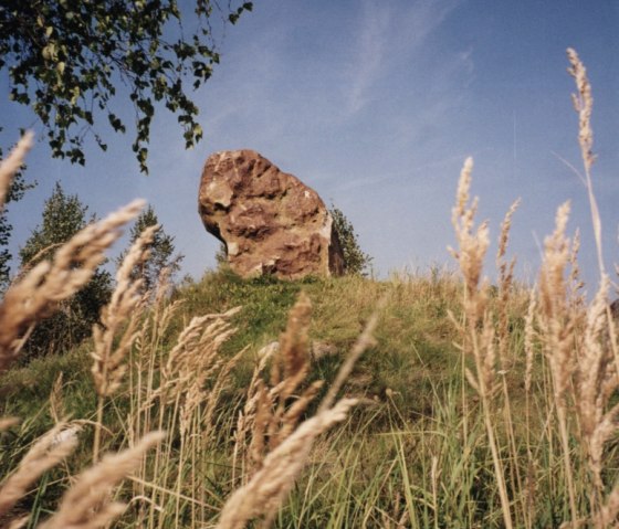 Sophienh&ouml;he, &copy; Entwicklungsgesellschaft indeland GmbH