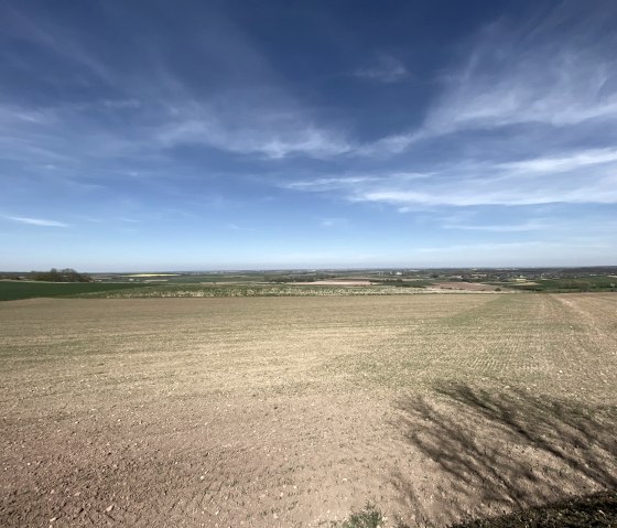 Blick in die B&ouml;rdelandschaft, &copy; Rureifel-Tourismus e.V.