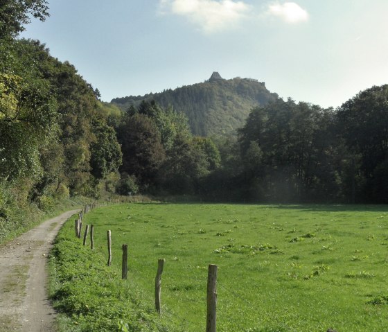 Vue sur le ch&acirc;teau de Nideggen, &copy; Karl-Heinz Rosenzweig, Der-eifelyeti.de, &copy; Der-eifelyeti.de