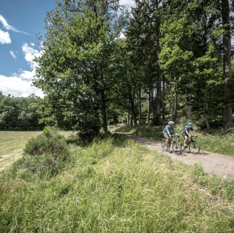 Freifahrt Eifel_Waldpassage Nonnenbach &copy; Eifel Tourismus GmbH, DennisStratmann-04330, &copy; Dennis Stratmann | Eifel Tourismus GmbH