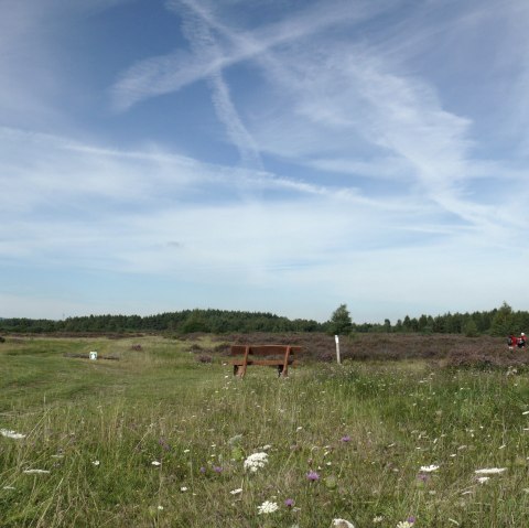Rastm&ouml;glichkeit in der Drover Heide, &copy; Gemeinde Kreuzau
