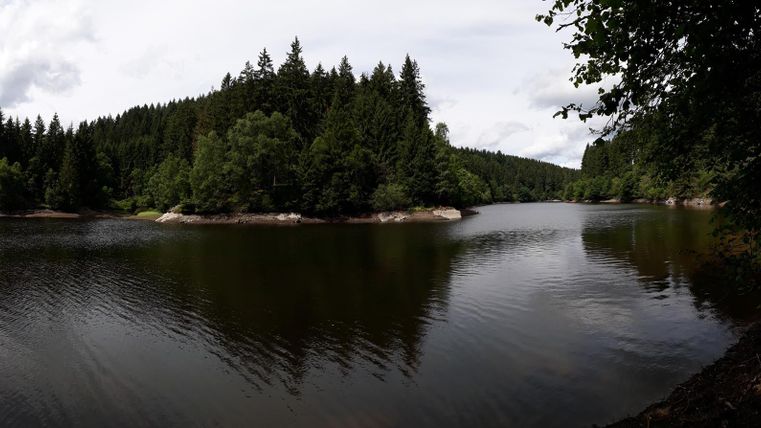 Ein ruhiger See umgeben von dichten Wäldern. Die Wasseroberfläche spiegelt die grünen Bäume und den bewölkten Himmel wider.