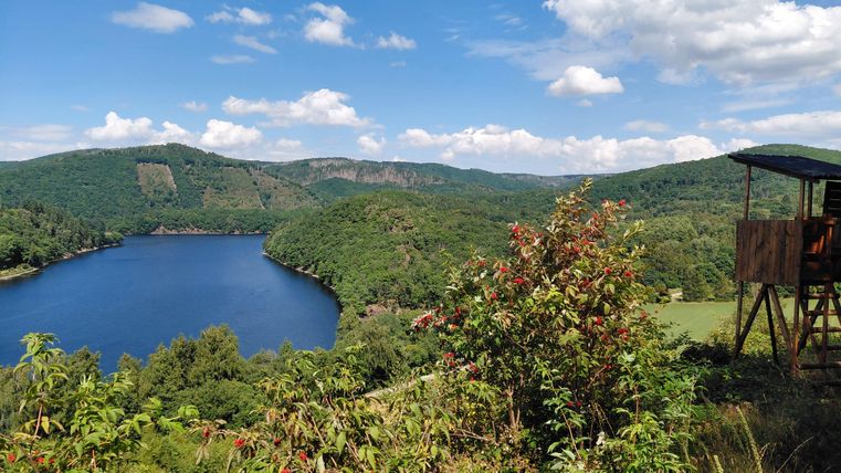 Eine ruhige Landschaft mit einem blauen See, umgeben von grünen Hügeln und Bäumen. Im Vordergrund gibt es bunte Sträucher und einen Aussichtspunkt.