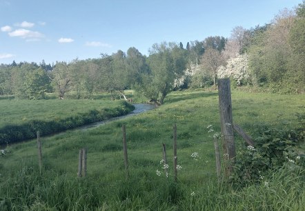 Fr&uuml;hlingsweg Gedau M&uuml;nsterbach Mai(co) Thei&szlig;en-Bra