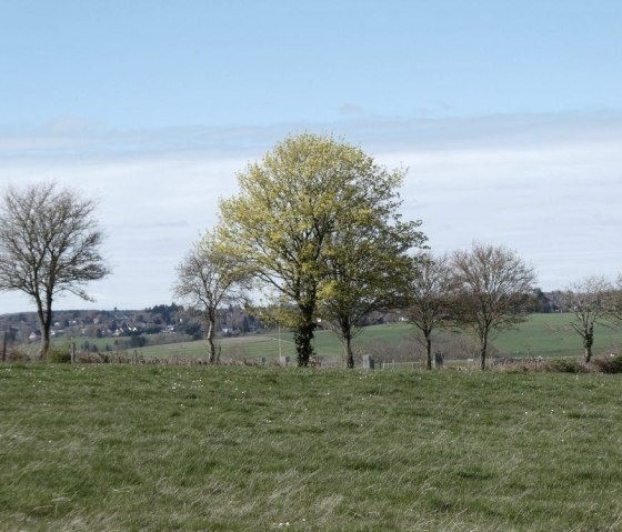Aussicht aufs Feld, &copy; Guido Hendle