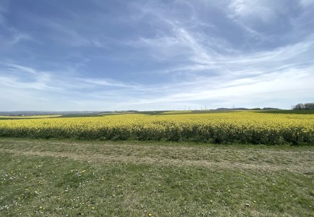 Wollersheimer Bördelandschaft, © Rureifel-Tourismus e.V.
