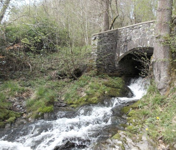 Brücke entlang der Wanderung, © Eifel heimisch