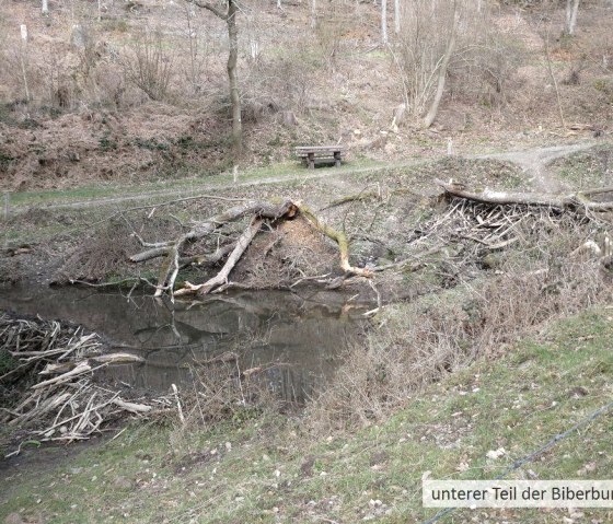 Biberburg, &copy; Guido Hendle