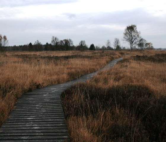 Herbst Morgen, &copy; Monschau Touristik GmbH - Heike Becker