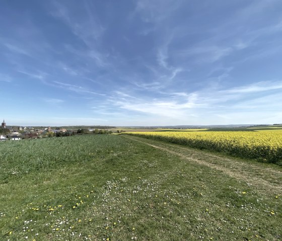 B&ouml;rdeblick mit Aussicht, &copy; Rureifel-Tourismus e.V.