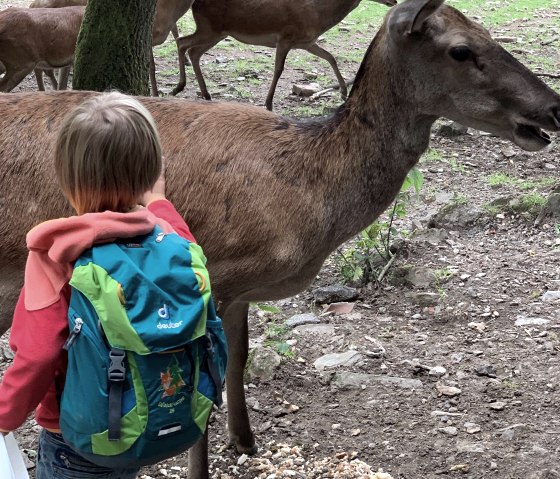 Tiere streicheln, &copy; Wildpark Schmidt