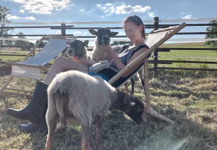 Kuscheln mit Schafen, © Die-Rote-16