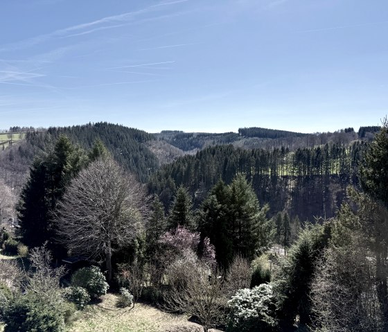 Haus Panoramablick - Ferienwohnung 1 Aussicht