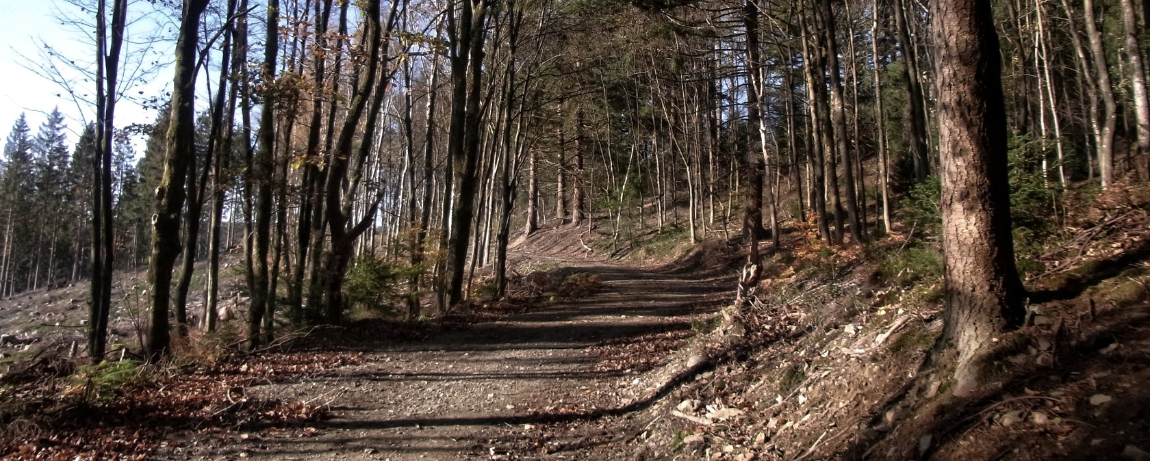 [46] - Weheschlucht, &copy; Rureifel-Tourismus e.V.