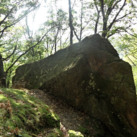 H&uuml;bsche Begleiter entlang des Wegesrandes, &copy; Karl-Heinz Rosenzweig, Der-eifelyeti.de, &copy; Der-eifelyeti.de