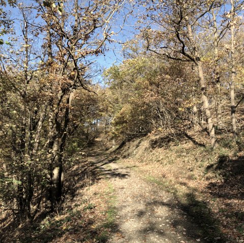 image00007 (2), © Rureifel-Tourismus e.V.