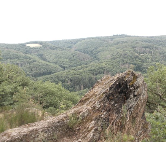 Fels mit Kermeterblick, &copy; Eifel heimisch