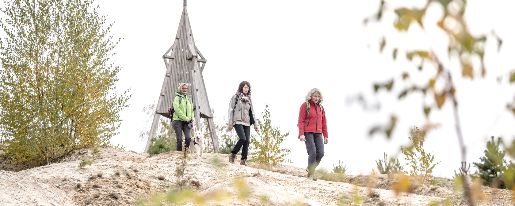 H&ouml;ller Hoorn op de Sophienh&ouml;he, &copy; Dennis Stratmann | Kreis D&uuml;ren