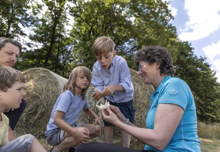 Bibertour in der Rureifel, &copy; Tobias Vollmer | Eifel Tourismus GmbH