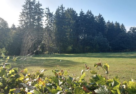 Spinnweben Altweibersommer Lammersdorf September (