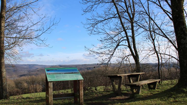Ein Aussichtspunkt mit einem Tisch und einer Bank steht unter Bäumen. Im Hintergrund ist eine weite Landschaft und ein klarer blauer Himmel zu sehen.