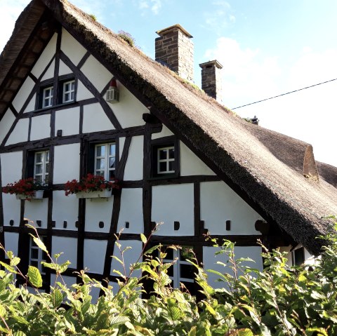 Strohdachhaus, &copy; Monschau-Touristik GmbH