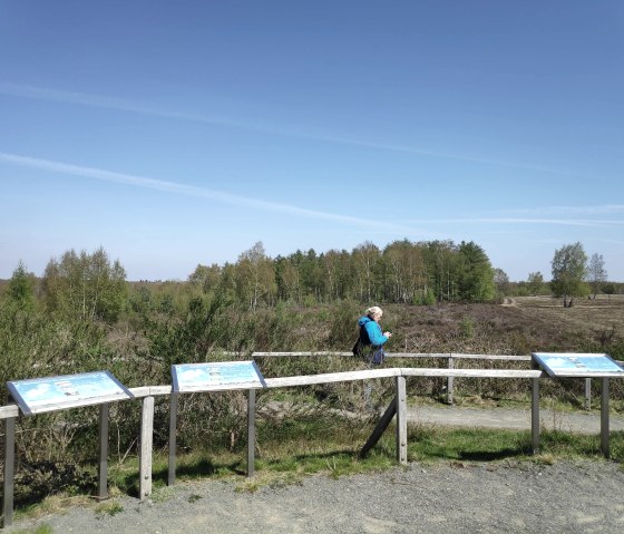 Colline panoramique dans la Drover Heide., © Sophia Eckerle