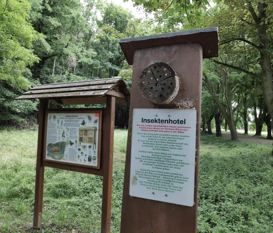 Insect hotel in the forest at Burgau Castle, &copy; Sophia Eckerle | Kreis D&uuml;ren