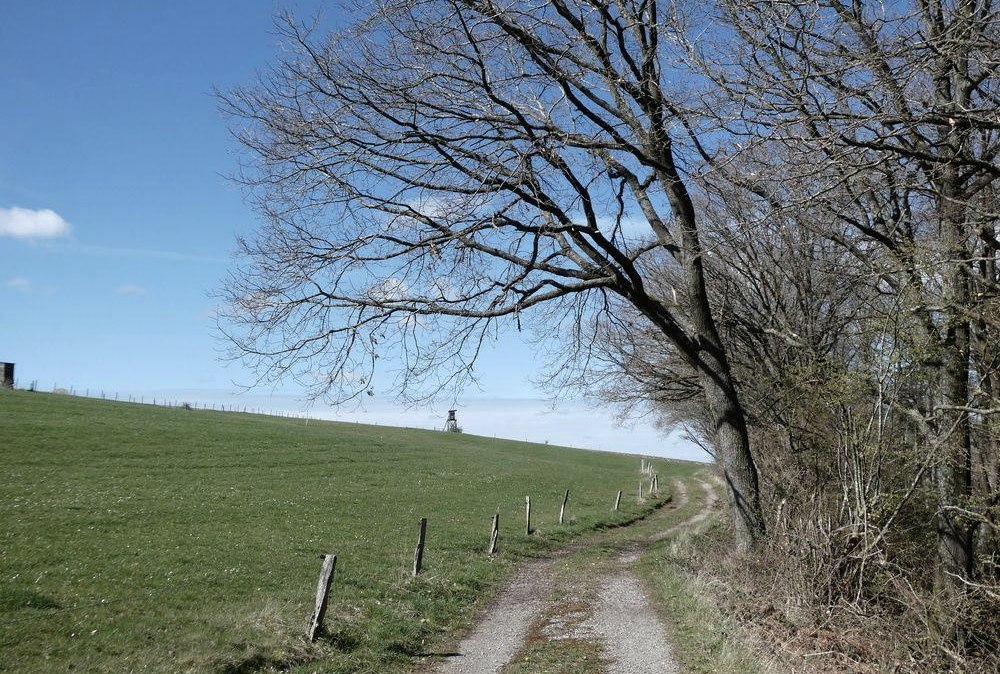 Wanderung, &copy; Guido Hendle