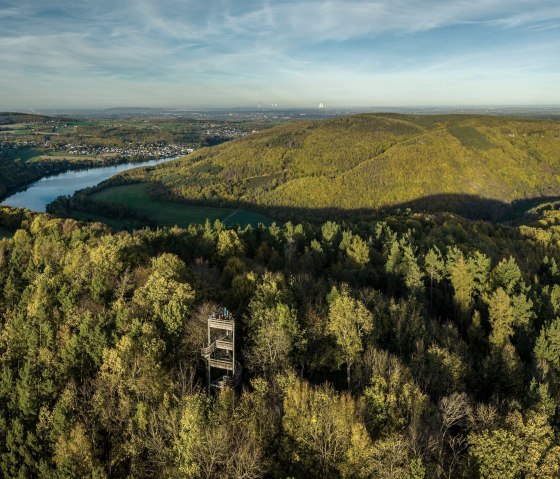 Krawutschketurm im Wald, &copy; Eifel Tourismus GmbH, Dominik Ketz