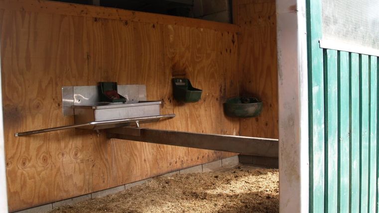 Ein Stall mit einem Holzpanel und einem Futtertrog. An der Wand hängen Futternäpfe für Tiere.