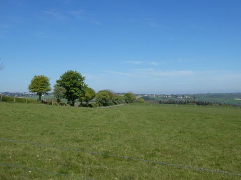 Eine grüne Wiese mit einigen Bäumen im Vordergrund. Der Himmel ist blau und klar.