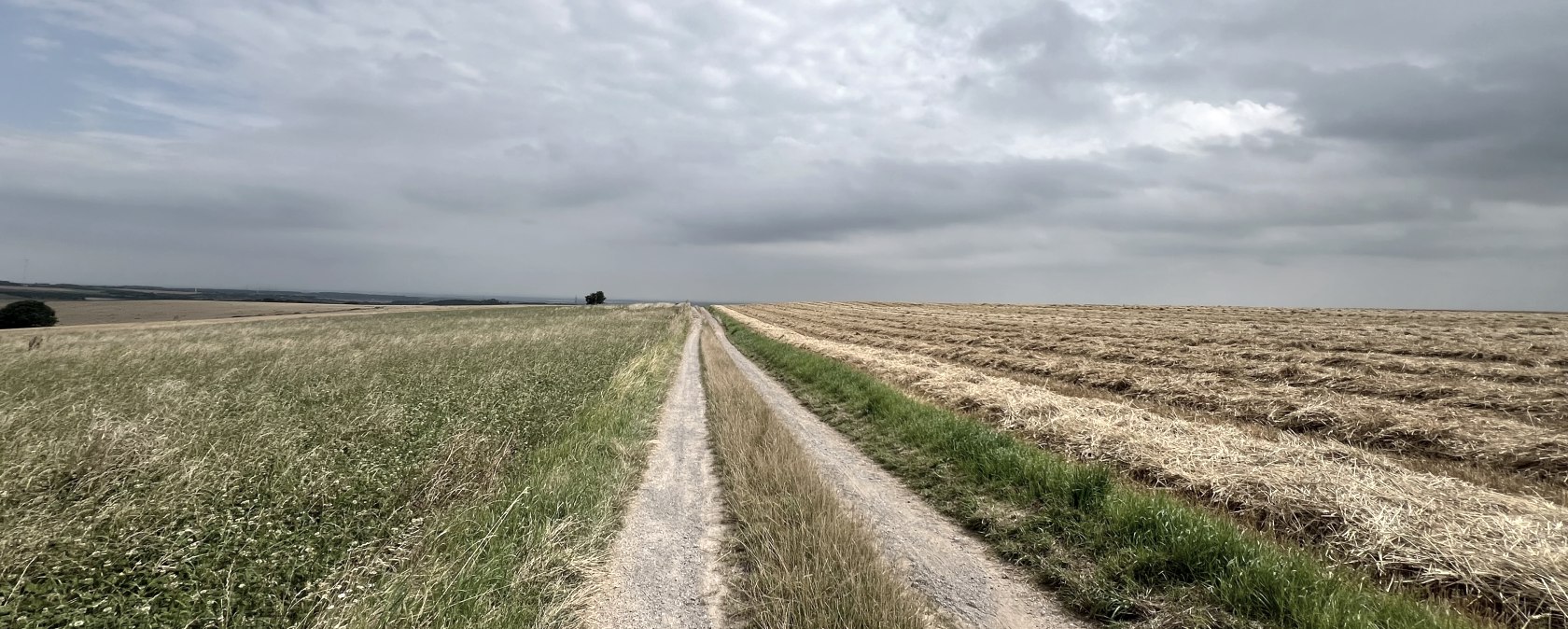 Wanderweg Nr. 87 - Wollersheimer Wanderweg, &copy; Rureifel-Tourismus e.V., Michelle Wiesen