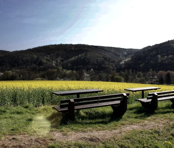 Pause avec vue sur le champ de colza