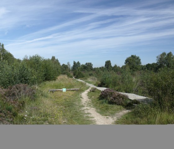 &Uuml;ber den Steg durch die Heide, &copy; Gemeinde Kreuzau