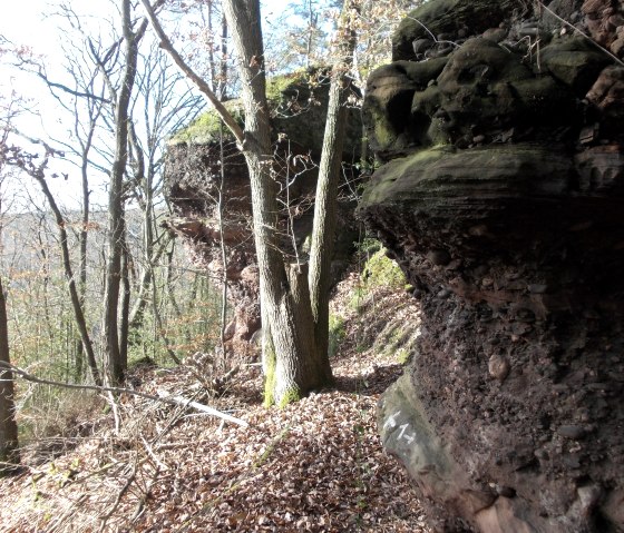 Buntsandsteinfelsen, &copy; Eifel heimisch