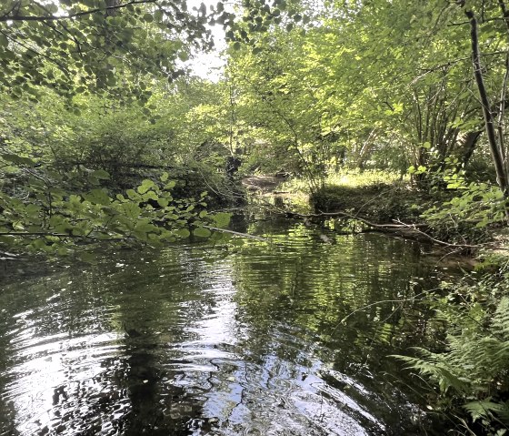 Quelle "Helje P&uuml;tz", &copy; Rureifel-Tourismus e.V., Michelle Wiesen