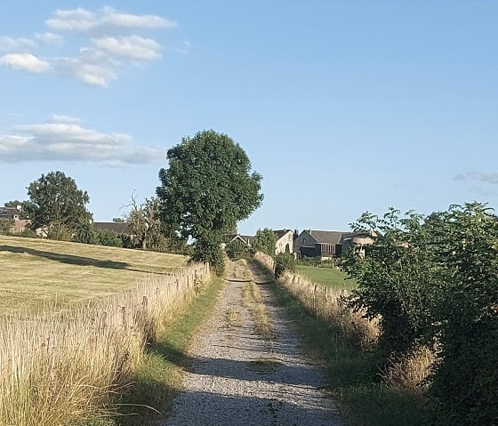 Sommerweg Krauthausen H&auml;user Juli-August (co) Thei