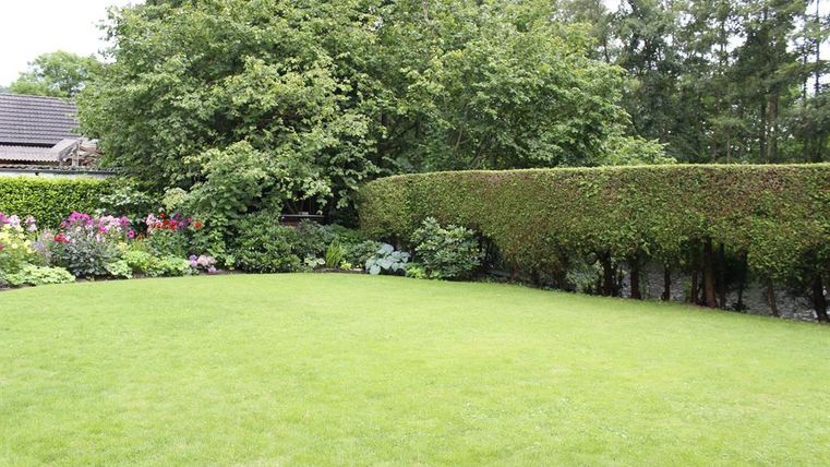 Ein gepflegter Garten mit grünem Rasen und blühenden Blumen. Hüfthohhe Hecken umrahmen die Fläche.