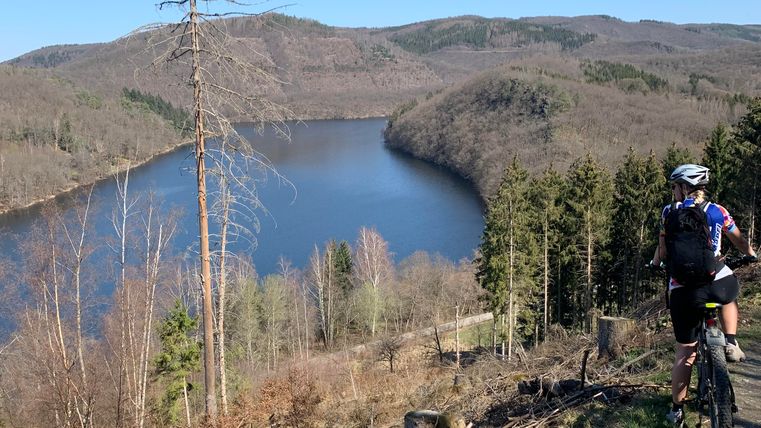 Ein Radfahrer genießt die Aussicht auf einen See in einer malerischen Landschaft. Die Umgebung ist von Bäumen und sanften Hügeln geprägt.