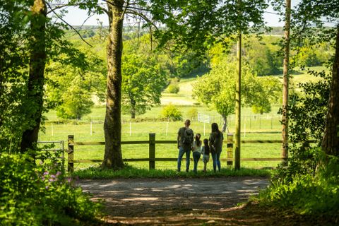 Zwei Menschen gehen einen Wanderweg entlang, umgeben von Bäumen und einem kleinen Bach. Die Sonne scheint und der Himmel ist klar.