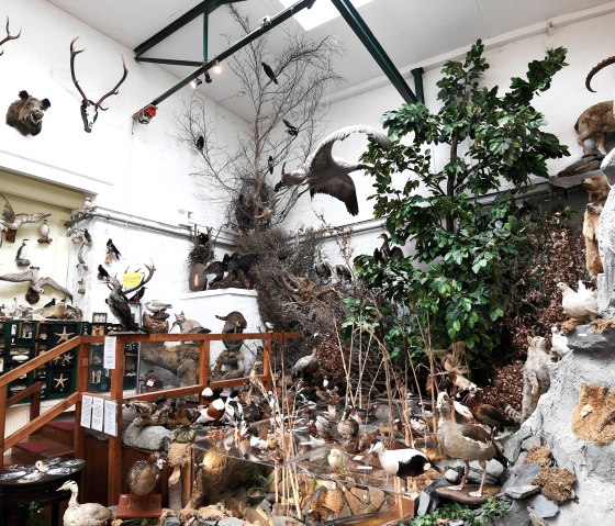 Wasserwelt, &copy; Bernd Stuhlmann