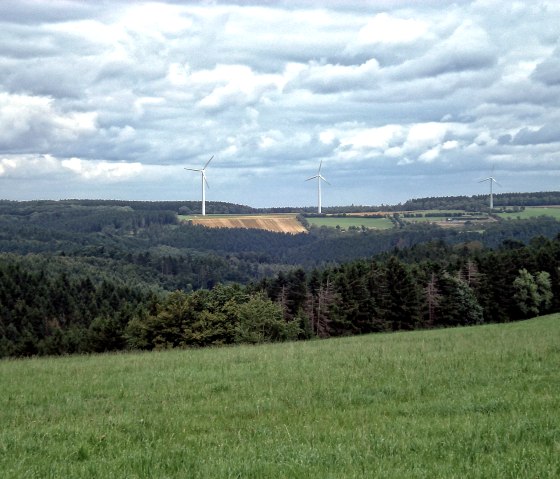 Ausblick entlang der 4 T&auml;ler Route, &copy; Der Eifelyeti.de