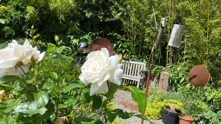 Ein schöner Garten mit weißen Rosen und grünen Pflanzen. Im Hintergrund sind eine Bank und dekorative Objekte aus Metall zu sehen.