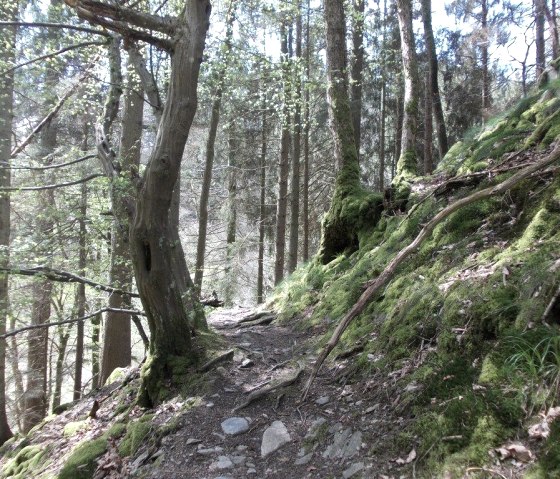 Wanderung, © Eifel heimisch