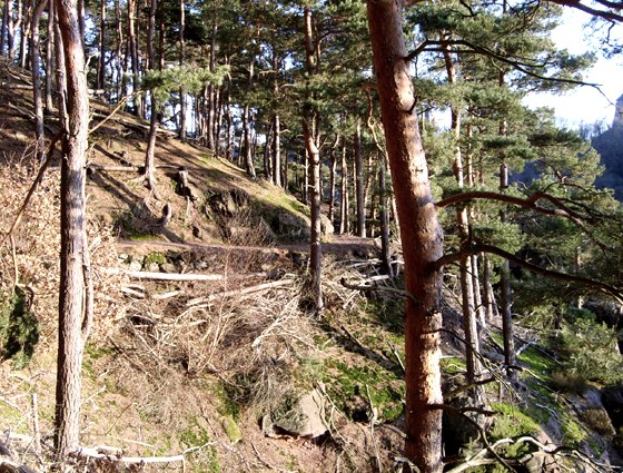 Sentier Christinenley