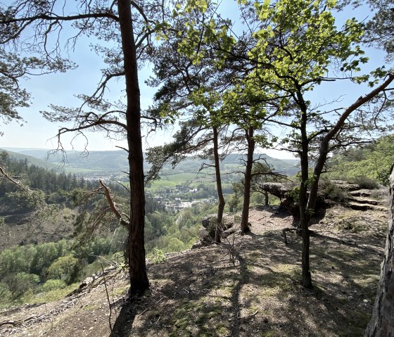 Rura floodplain [27], © Rureifel-Tourismus e.V. - Dennis Winands